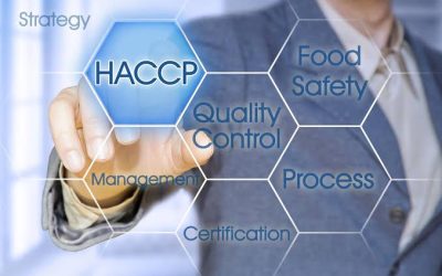 WhatsApp Image 2024-01-15 at 22.15.05